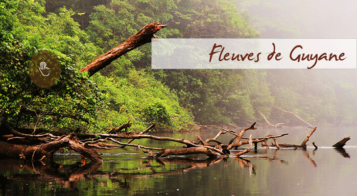 Forêt et fleuves de Guyane : vivez votre rêve